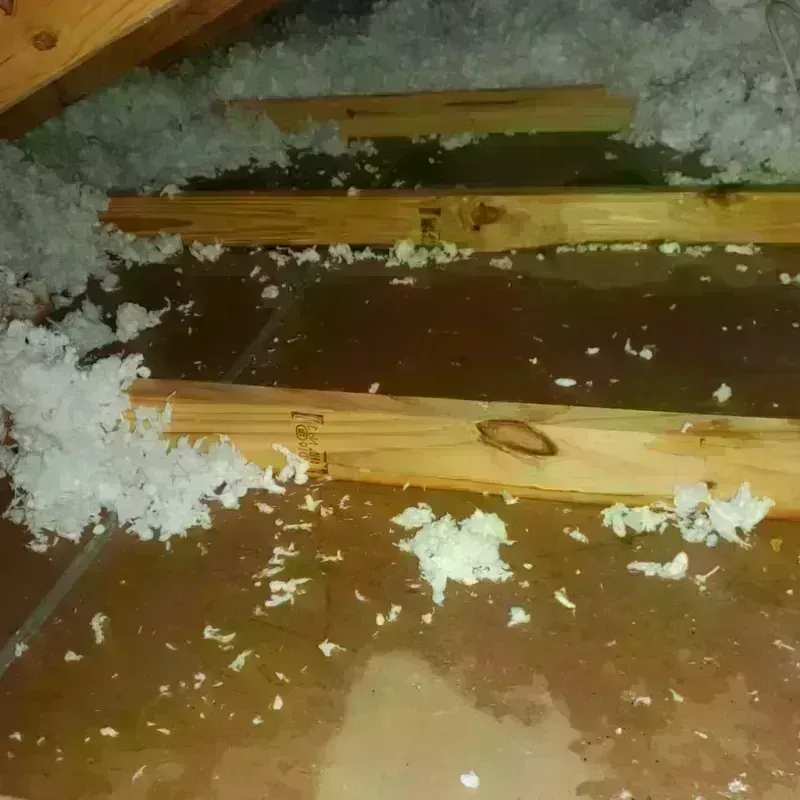 Attic Water Damage in Moundsville, WV